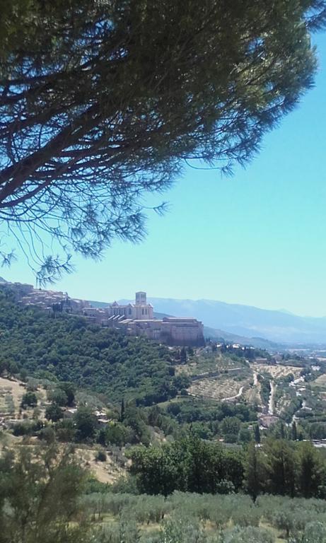 B&B Colle San Francesco Assisi Exterior photo